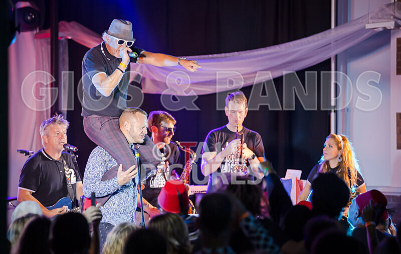 Sons of the Desert_Retro Festival_2020-379 - RETRO FESTIVAL 2020_SONS OF THE DESERT