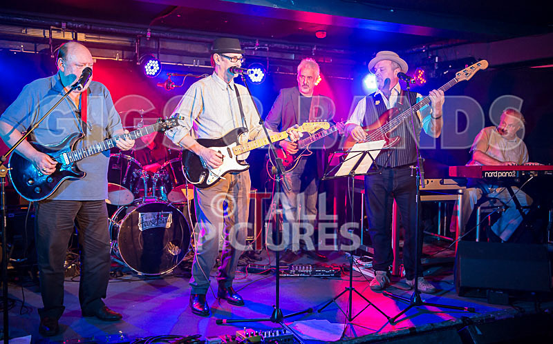 Alfie Bartons 25th Anniversary Gig-40 - ALFIE BARTON'S 25th ANNIVERSARY SPECIAL