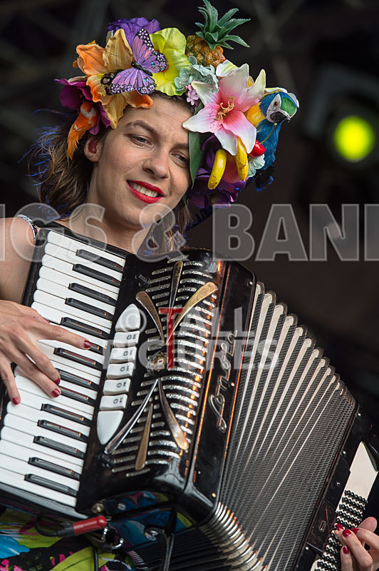 Molotov Jukebox-58 - MOLOTOV JUKEBOX