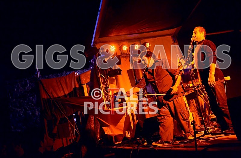 Vale Earth Fair 2011-19 - VALE EARTH FAIR 2011 - SCENE