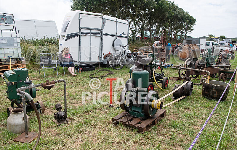 Guernsey Agricultural Show 2021-19 - GUERNSEY AGRICULTURAL SHOW 2021