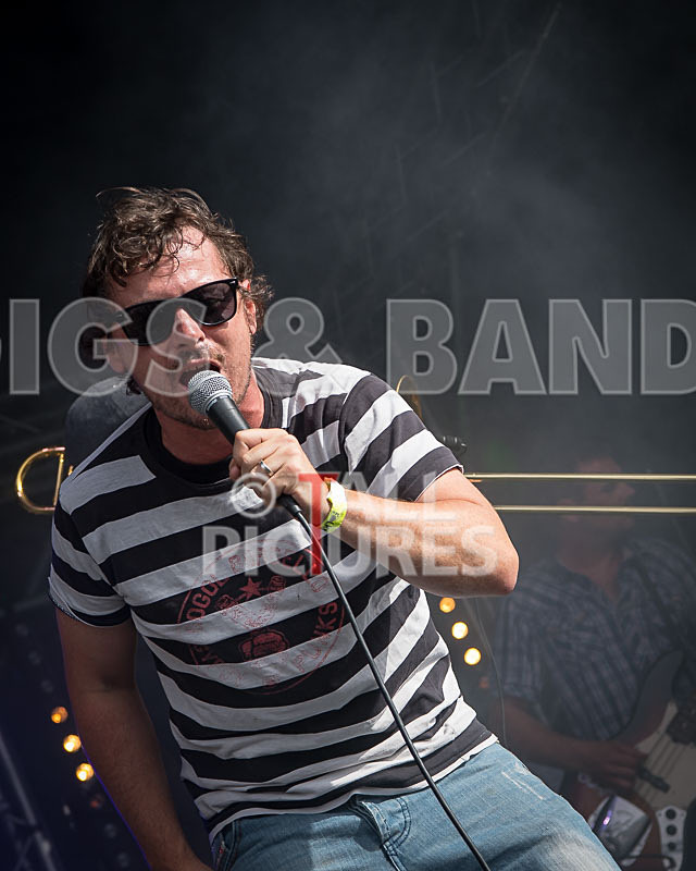 Pirate Party Brigade-32 - PIRATE PARTY PARADE