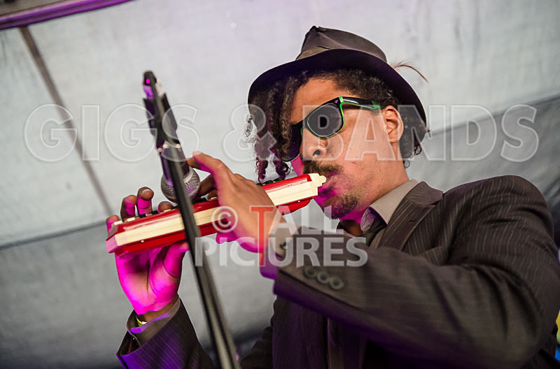 The Recks-281 - THE RECKS