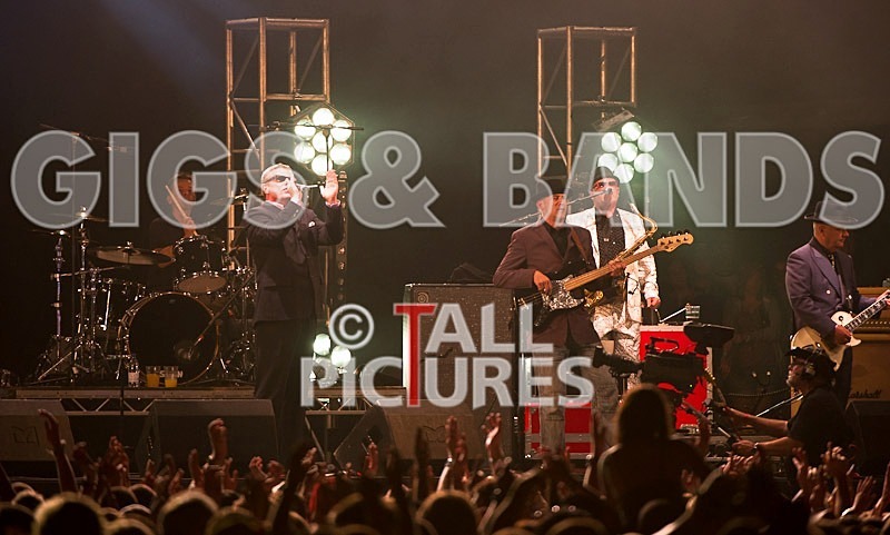 Madness-13 - MADNESS