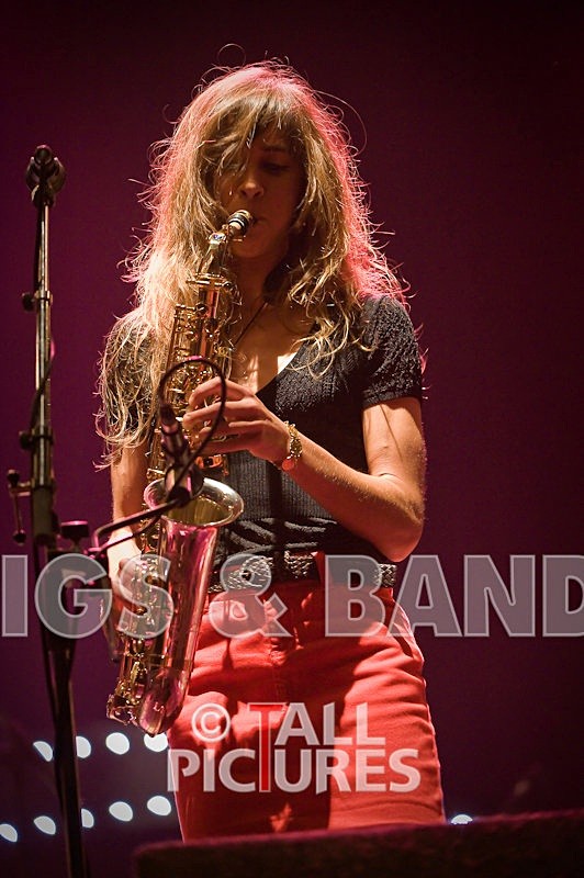 Zutons-9 - THE ZUTONS