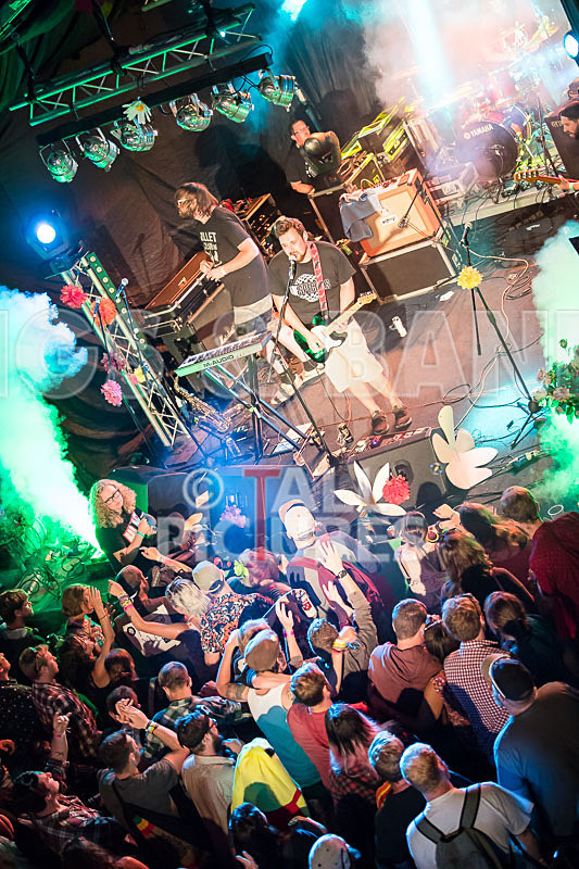 Honest Crooks-178 - HONEST CROOKS