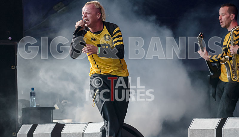 Dubioza Kolektiv-51 - DUBIOZA KOLEKTIV