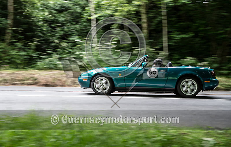 Heritage Charity Hillclimb_2014-196 - HERITAGE CHARITY HILL CLIMB 2014
