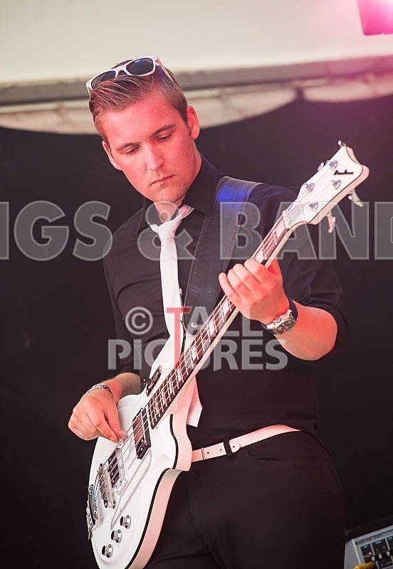 Surfin Birds-15 - THE SURFIN' BIRDS