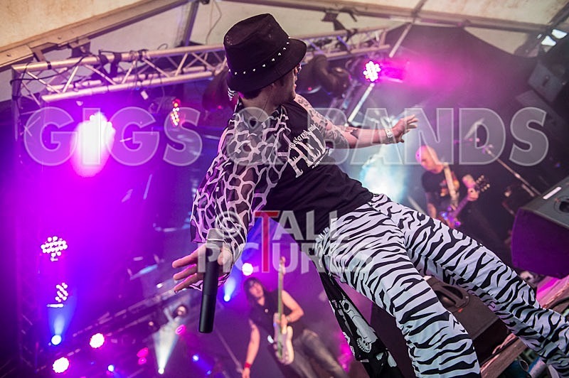 Big Machine_Chaos8-8 - BIG MACHINE