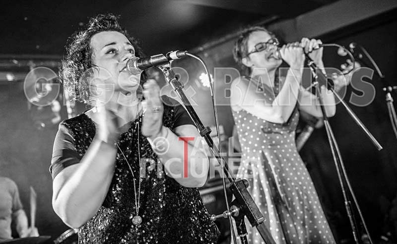 Ray and the Guns-21 - RAY AND THE GUNS
