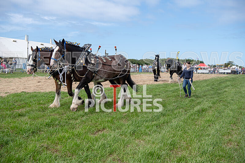 Guernsey Agricultural Show 2021-166 - GUERNSEY AGRICULTURAL SHOW 2021