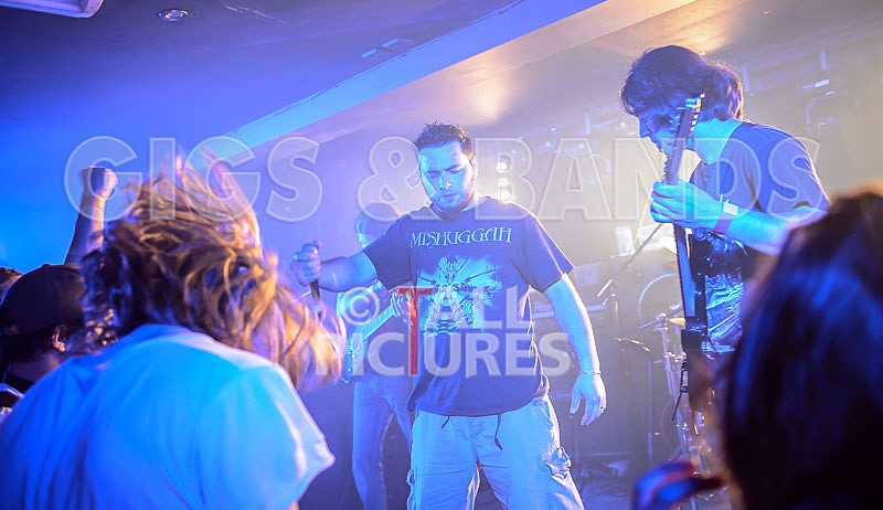 Masticated-12 - MASTICATED