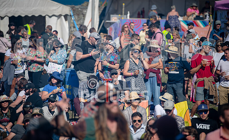 Vale Earth Fair 2020_THE SCENE-108 - VALE EARTH FAIR 2020_THE SCENE