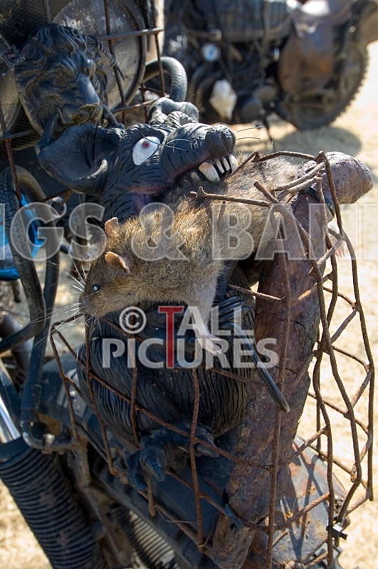 Greenman_Wheels_3 - BIKE & TATTOO COMPETITIONS 2006