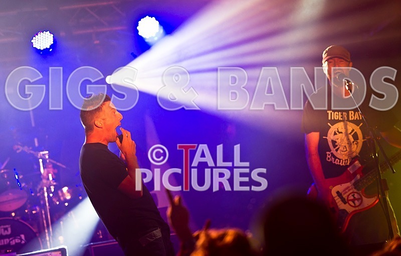 Spunge-63 - [spunge]