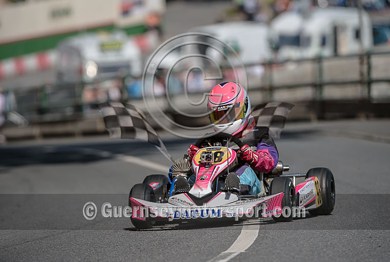 Hillclimb_08-08-2015_KART-73 - HILL CLIMB_08-08-2015_KARTS