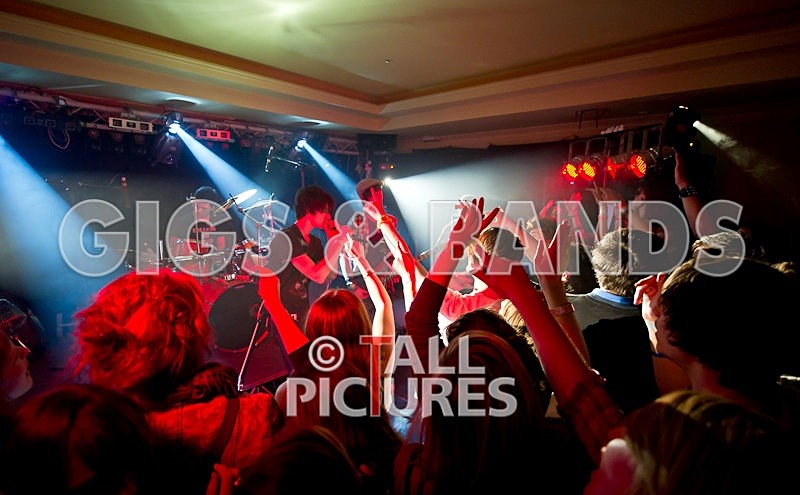 Feedback-73 - FEEDBACK at RoA-8