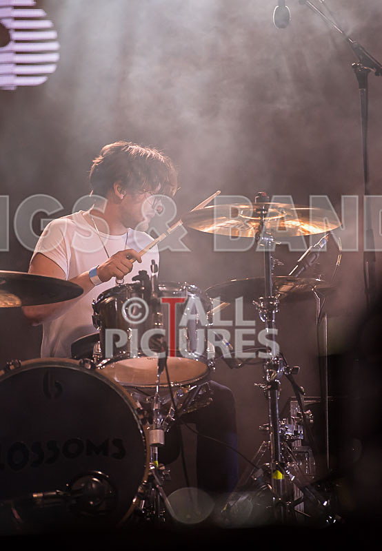 Blossoms-48 - BLOSSOMS