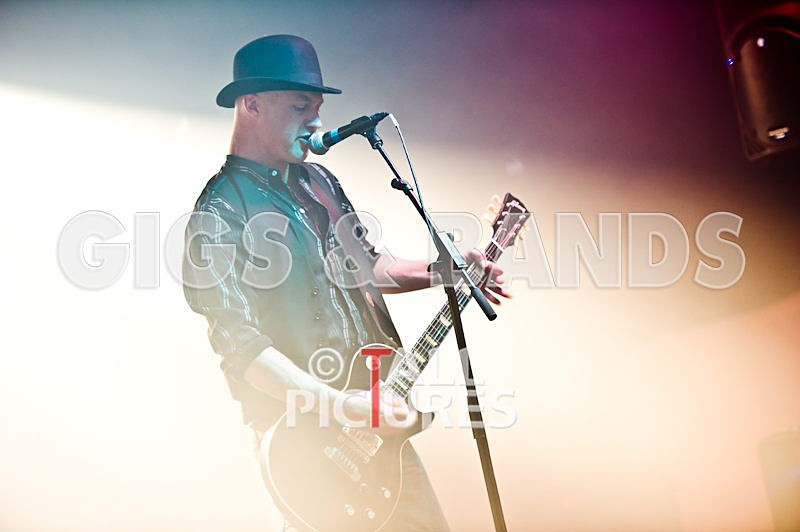 Peppered Ant Legs-47-0001 - PEPPERED ANT LEGS