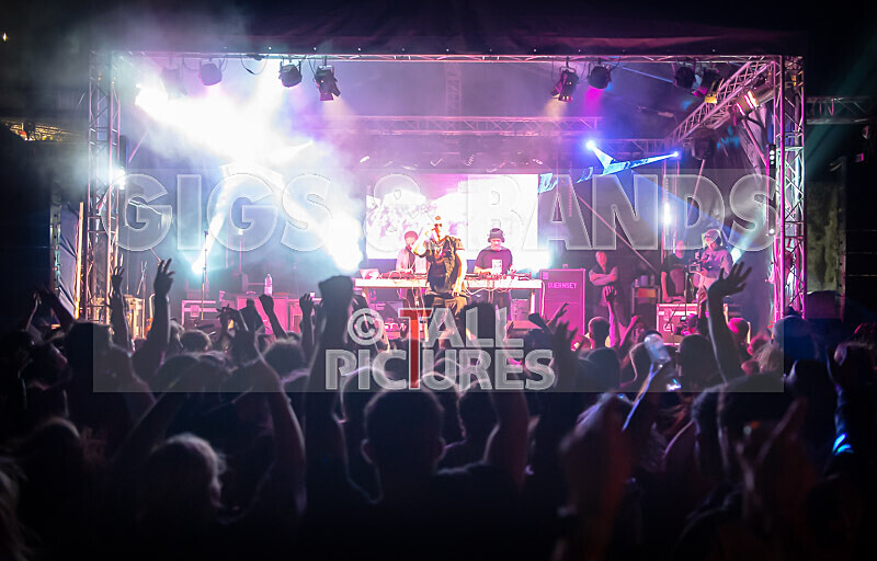 Vale Earth Fair 2022_The Scene-55 - VALE EARTH FAIR 2022_THE SCENE