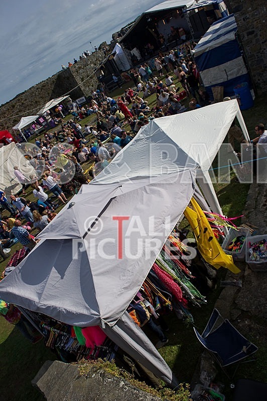 VEF_2012_Good Vibes-18 - THE GOOD VIBES....