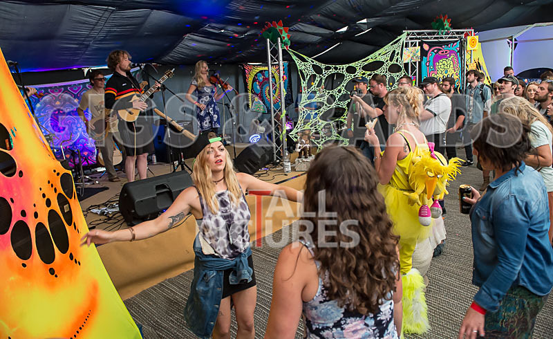 Buffalo Huddleston-226 - BUFFALO HUDDLESTON