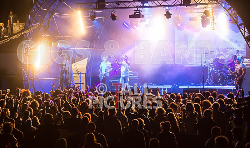 Vale Earth Fair_Atmosphere_2014-75 - VALE EARTH FAIR 2014 - THE ATMOSPHERE