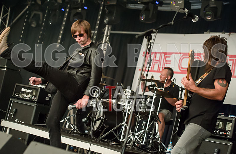 The Cryptics-59 - THE CRYPTICS