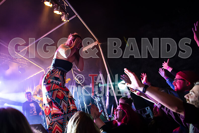 Vale Earth Fair 2020_THE SCENE-101 - VALE EARTH FAIR 2020_THE SCENE