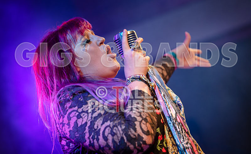 Static Alice-801 - STATIC ALICE