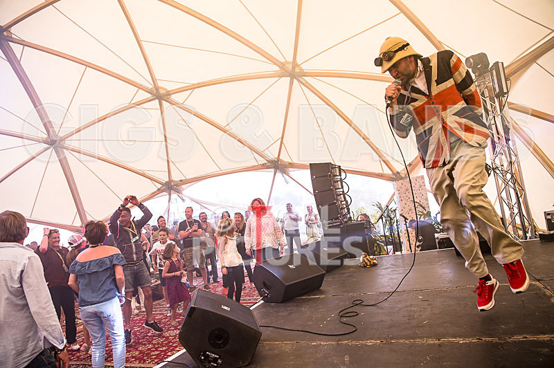 Professor Elemental-1 - PROFESSOR ELEMENTAL