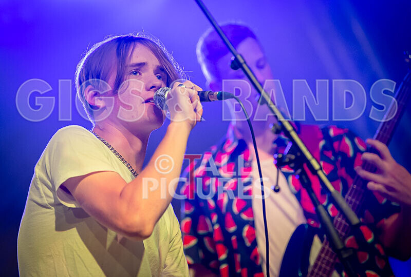 Alysida-15 - ALYSIDA