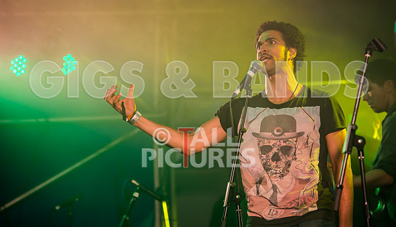 The Mouse Outfit-28 - THE MOUSE OUTFIT