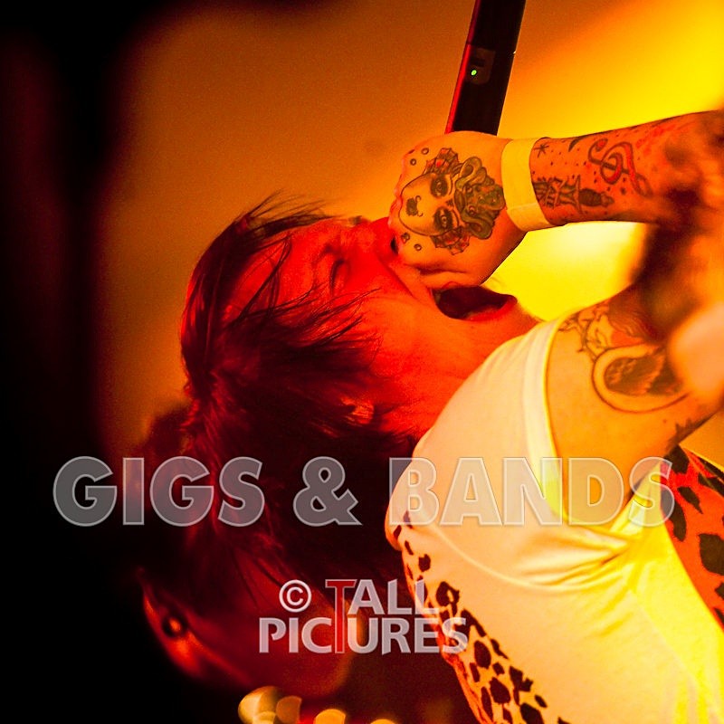 Five Across the Eyes-7 - FIVE ACROSS THE EYES at RoA-5