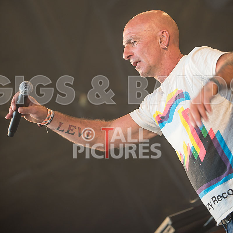 Jersey Live-2015_Scene-64 - JERSEY LIVE 2015 - THE ATMOSPHERE