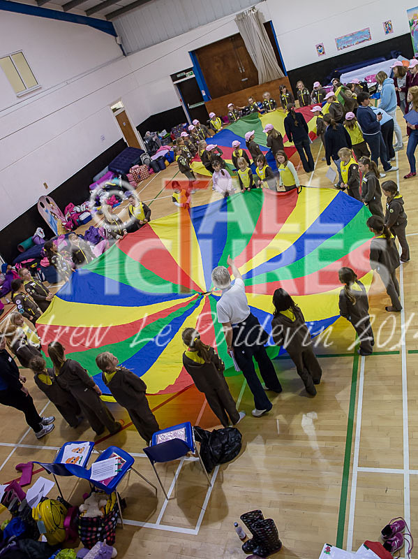 Big Brownie Birthday Party-2 - BROWNIE CENTENARY BROWNIE SLEEPOVER