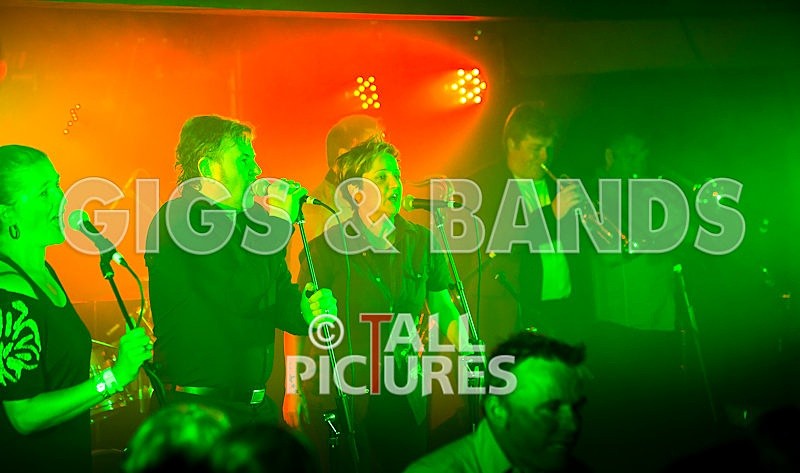 King Rat and the Soul Cats-66 - KING RAT & THE SOUL CATS