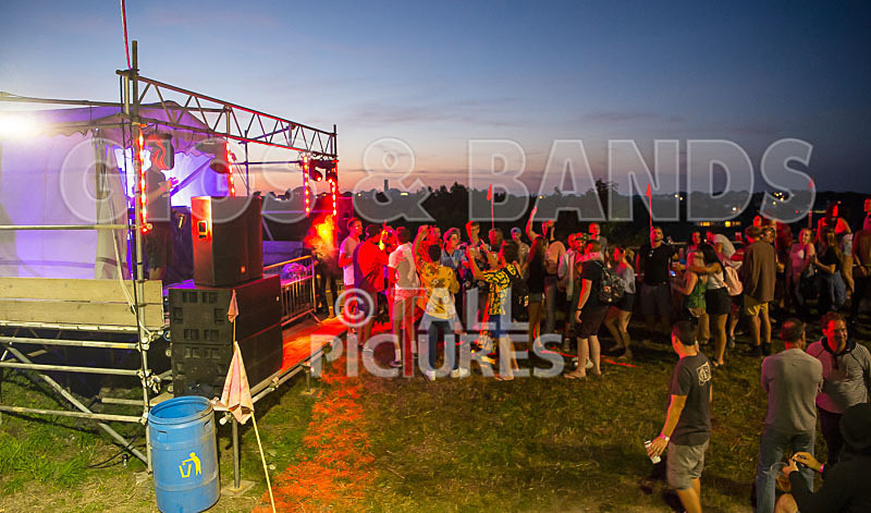 Vale Earth Fair 2017_SCENE-131 - VALE EARTH FAIR 2017_THE SCENE