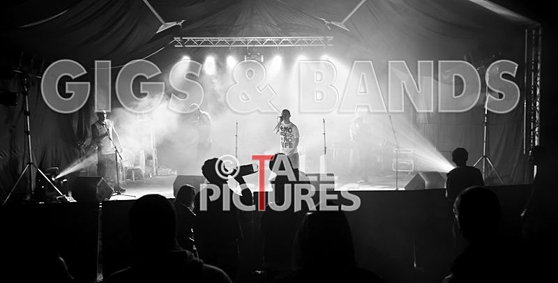 Asylum Seekas-49 - ASYLUM SEEKAS AT IVY CASTLE