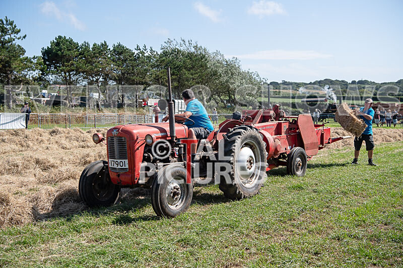 Guernsey Agricultural Show 2021-204 - GUERNSEY AGRICULTURAL SHOW 2021