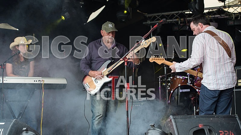 Wild Card-116 - WILD CARD