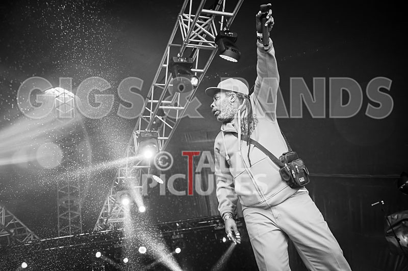 Prince Fatty Soundsystem-13 - PRINCE FATTY SOUNDSYSTEM