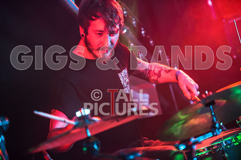 To the Woods-229 - TO THE WOODS