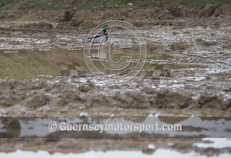 Moto-X_23-03-2013-9 - MOTO-X_23-03-2013