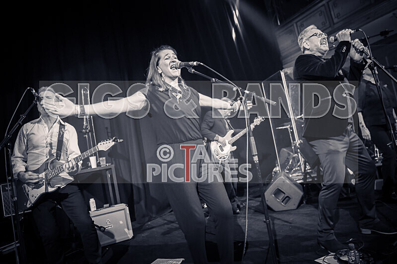 King Rat  the Soul Cats-445 - KING RAT & THE SOUL CATS