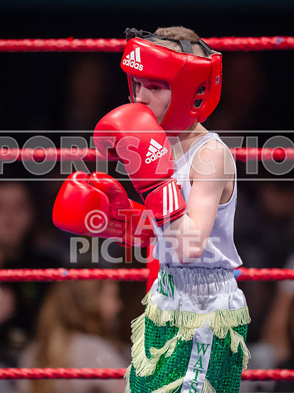 BOUT-2 - Arnie Watson v Noah Merriman-5 - BOUT-2 - Arnie Watson v Noah Merriman