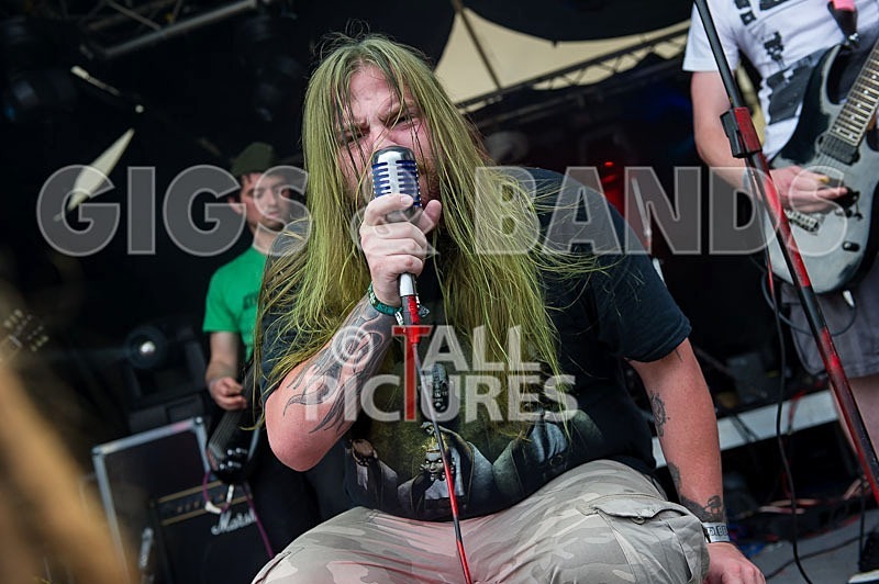 Stone Em All-15 - STONE EM ALL