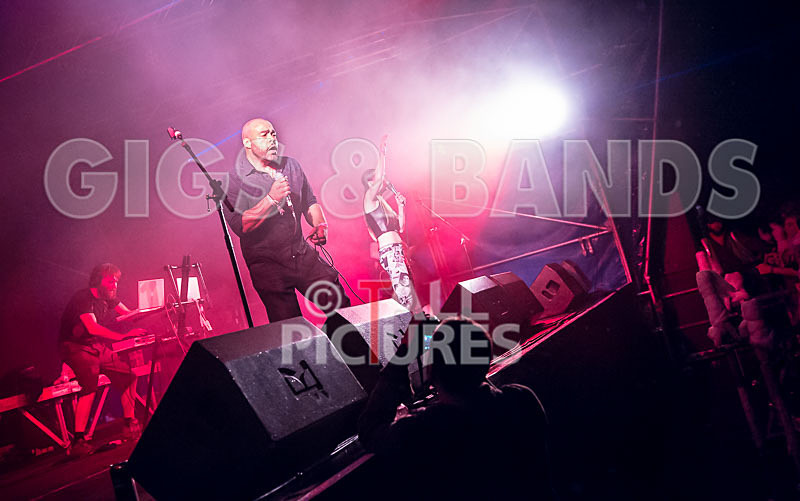 FireFarm-56 - FIREFARM