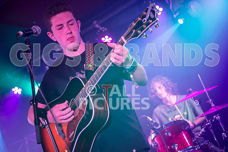 Purple Paradox-13 - PURPLE PARADOX